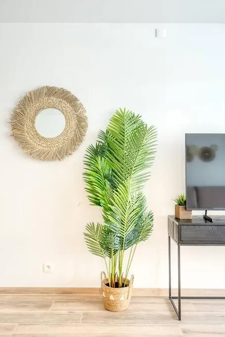 5-Guest Studio In Ostend, Steps From The Beach